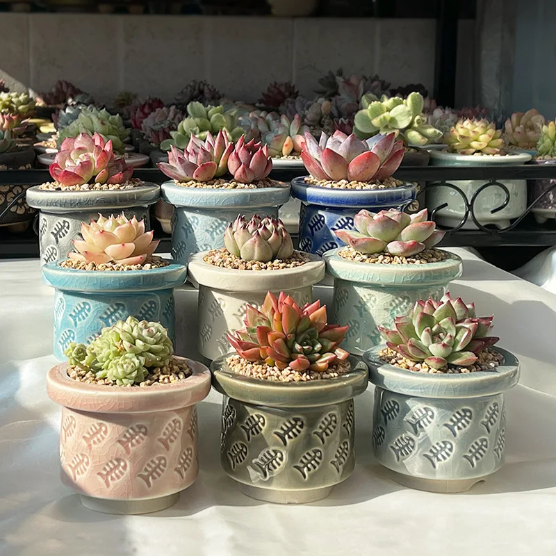 Candy Colors New Design Flowerpot Succulent Pot Cactus Planting For Office Home Decoration