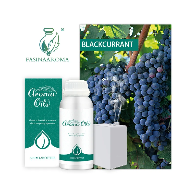 Wholesale Free Sample Long Lasting Blackcurrant Scent Women Men Essential Fragrance Perfume Oil For Air Freshener