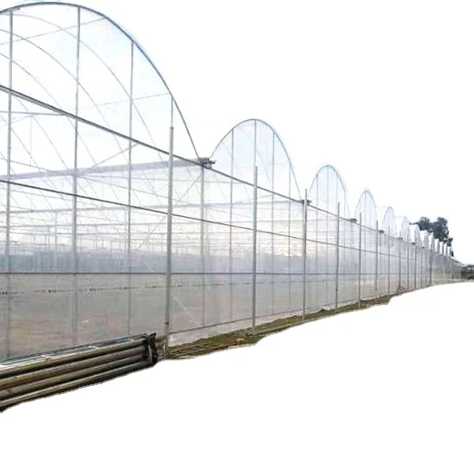 Manufacturer wholesale single arch shed internal and external thermal insulation strawberry greenhouse