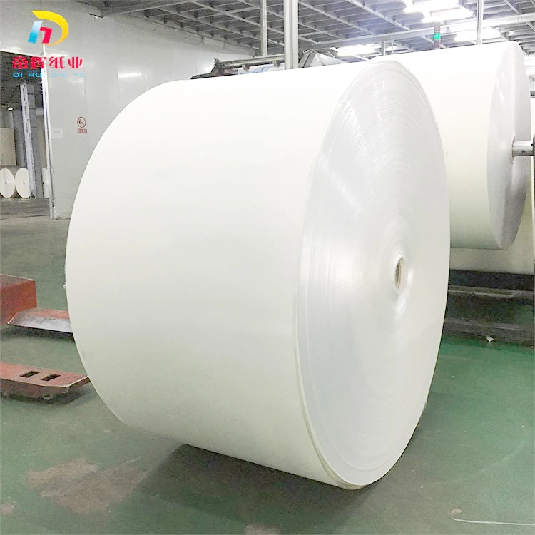 Raw materials single / double sided PE Coated Paper for disposable paper cup container maker in Roll / Sheet / Fans