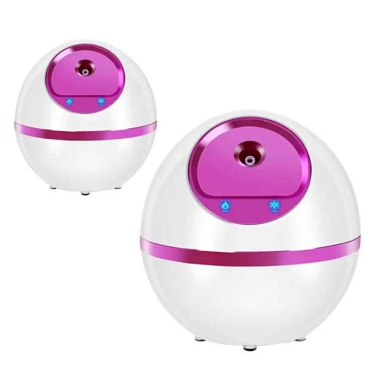 New Arrival Mini Skin Care Hot and Cold Ion Evaporator Facial Steamer Ionic Hotel Household Moisturizer Nourishing