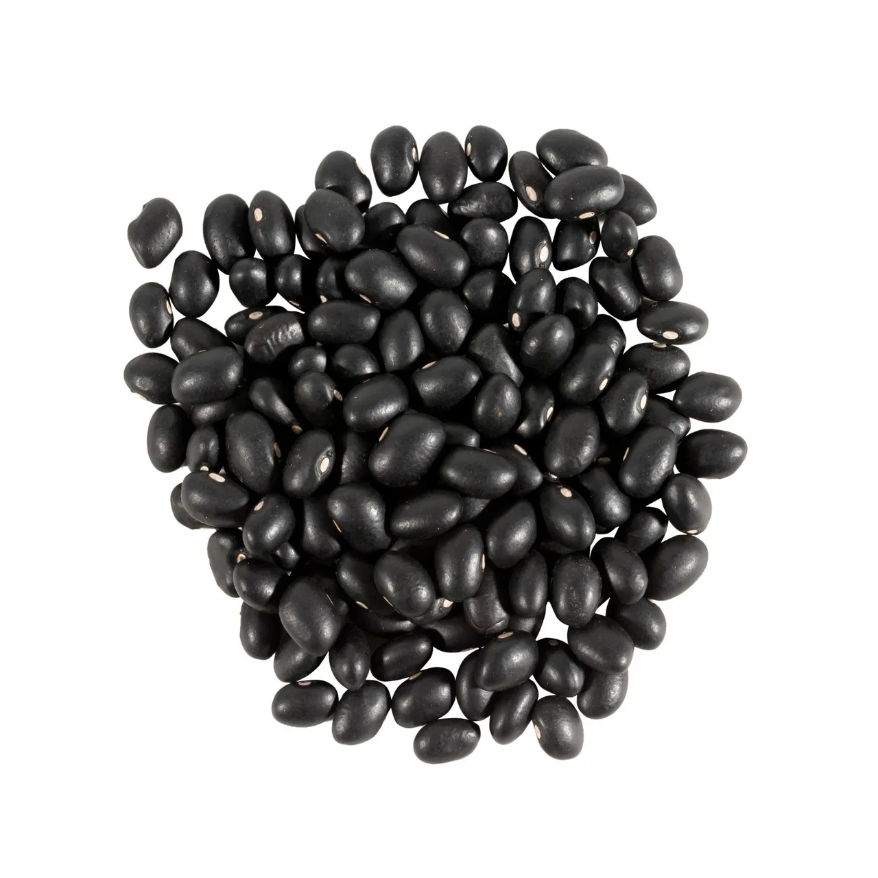 Wholesale New Crop Black Beans Vietnam Supplier Wholesales High Quality Raw Vietnam Black Bean