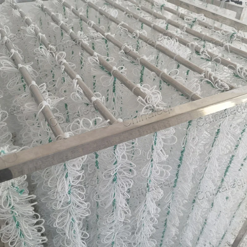 MBBR Waste Water System Membrane Bioreactor MBR Wastewater Treatment Plant