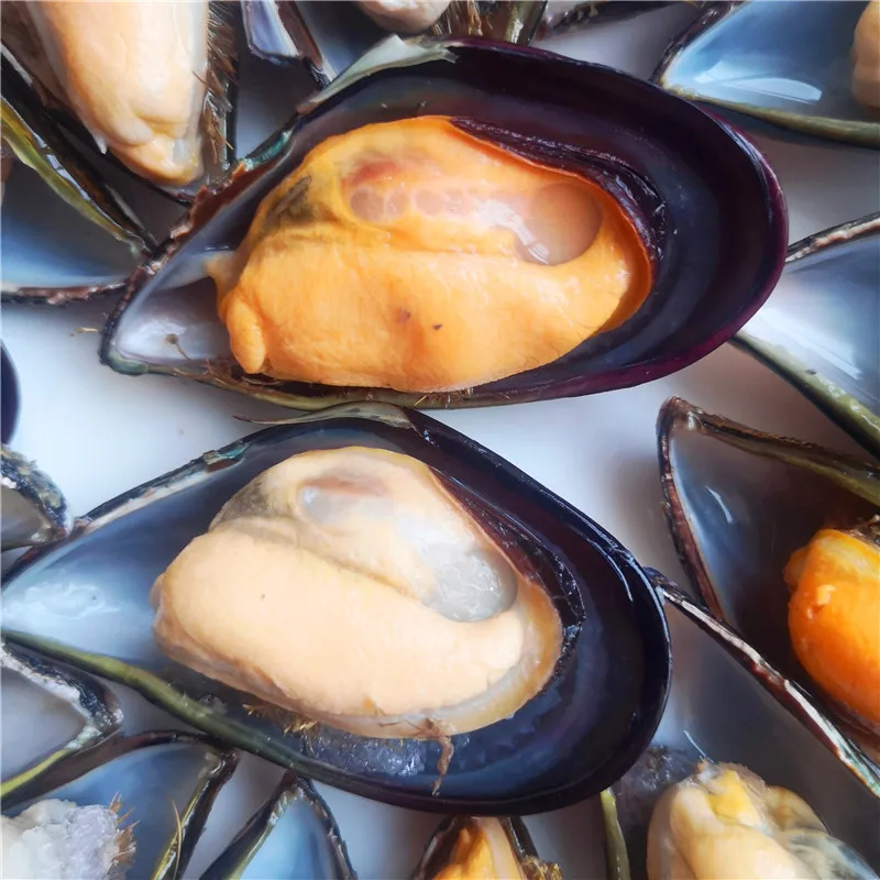 China seafood manufacturers, suppliers , exporters on frozen boiled mussel meat