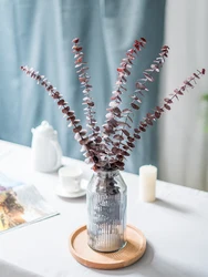 Shopping website top sell natural preserved flowers green eucalyptus for home decor