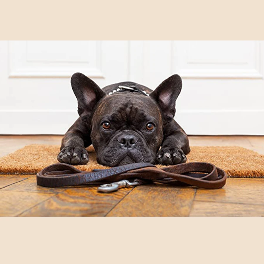 
Coco Coir Door Mat with Heavy Duty Backing, Natural Doormat, 17