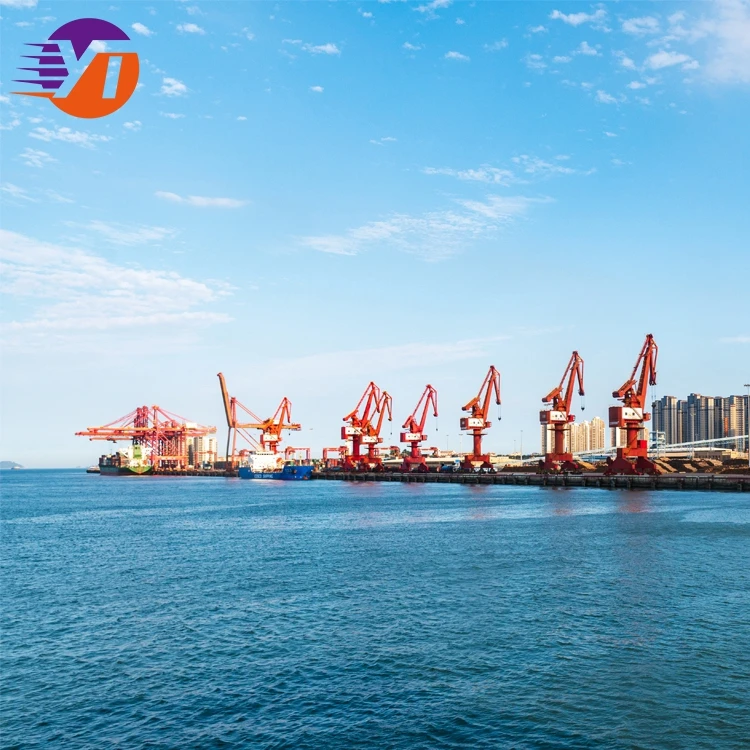Китай быстрая доставка морская экспедитор услуги Ddp Ddu Shenzhen в США Австралия