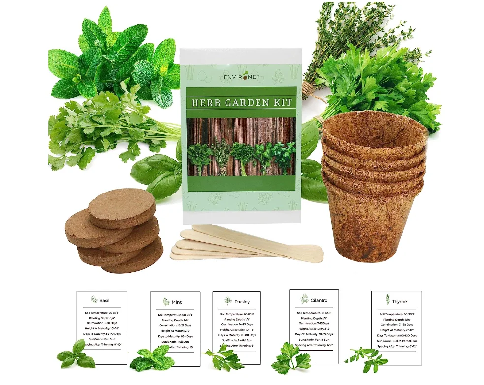 Herb Garden Kit. Seed Starter Kit Indoor. Grow 5 Different Herbs  at Home. Gardening and Home Decoration Gifts