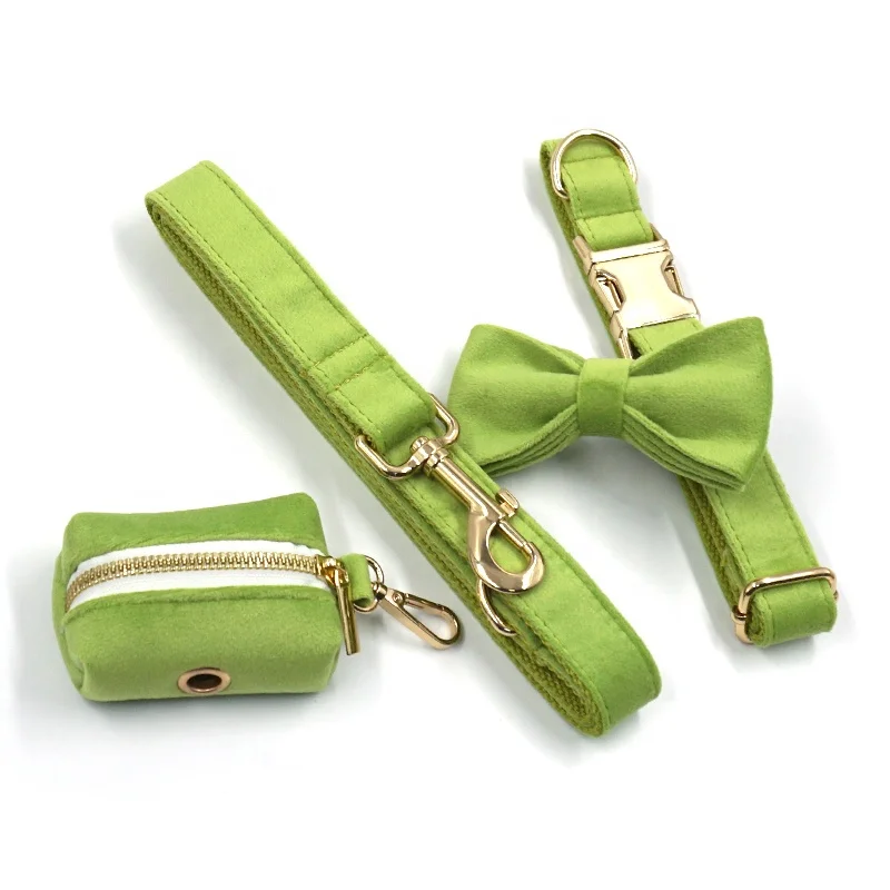 Soft green velvet dog collar gold buckle private label dog collar with custom logo luxury dog collar leash for big dogie bowtie