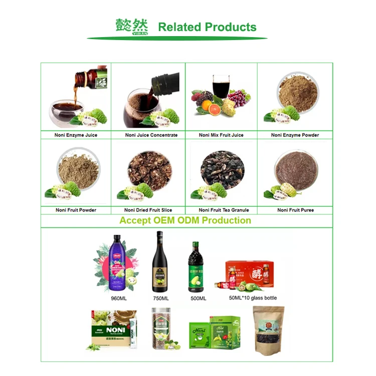 OEM Private label Wholesale Energy Drinks Red Grape Orange Mulberry Noni Fruit Enzyme Mix Juice