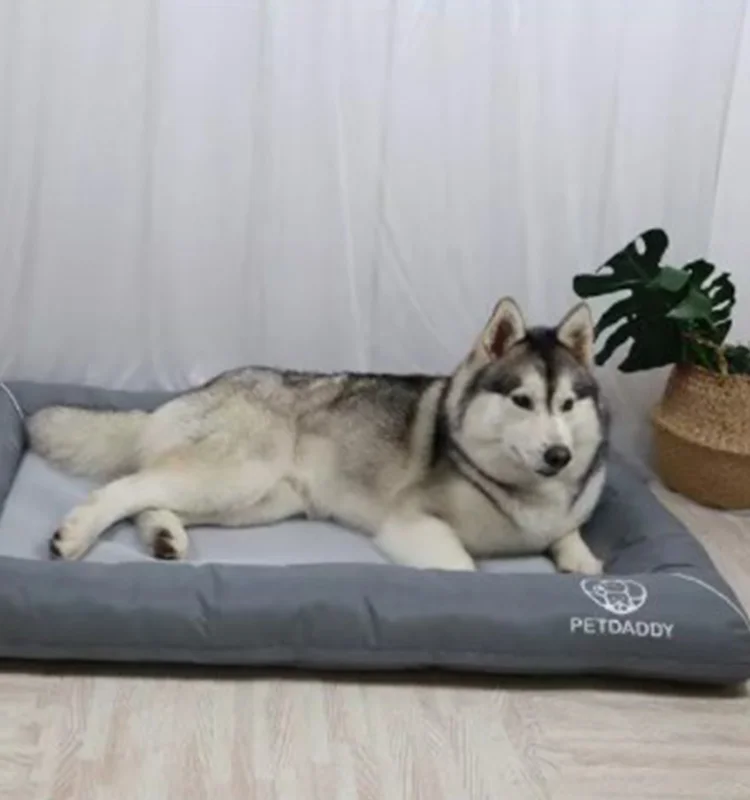 Full Seasons Oxford Fabric Cool Pet Bed For Dogs