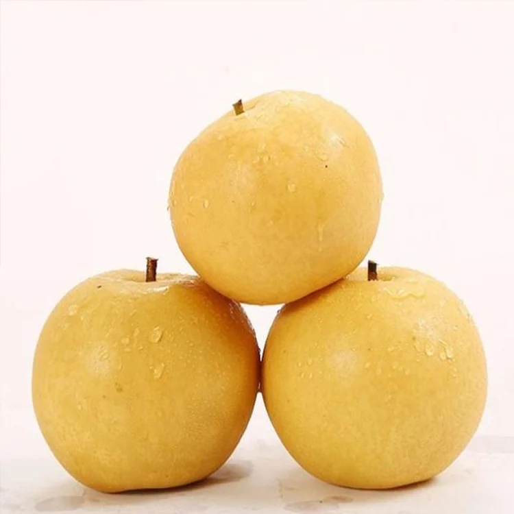Pear Good Quality Delicious Fengshui Pear (1600561898476)