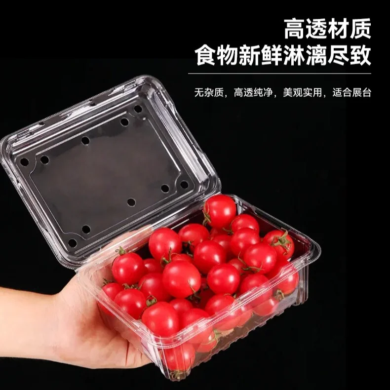 Recyclable Disposables Clear RPET Plastic Fruit Container Food Container