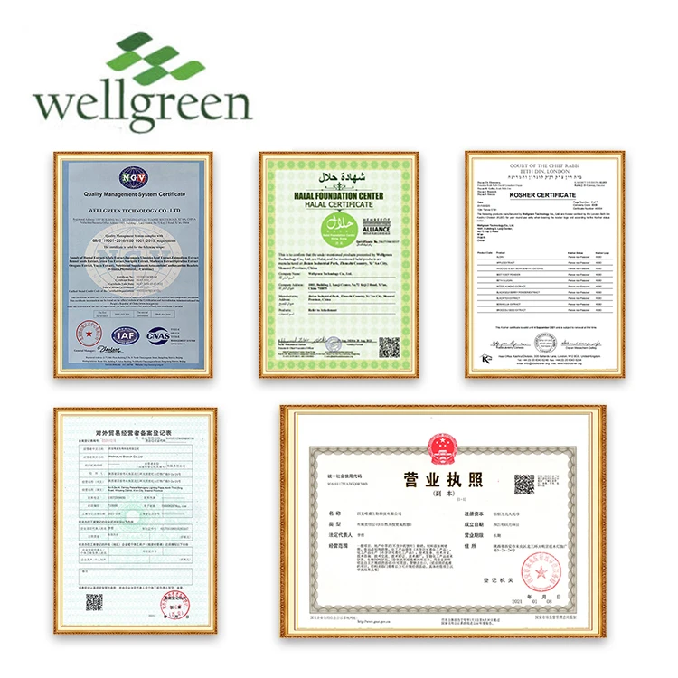 Free Sample Food Grade Pea Protein Peptide Raw Material Water Soluble Purity 80% 85% 90% Pea Peptide Powder