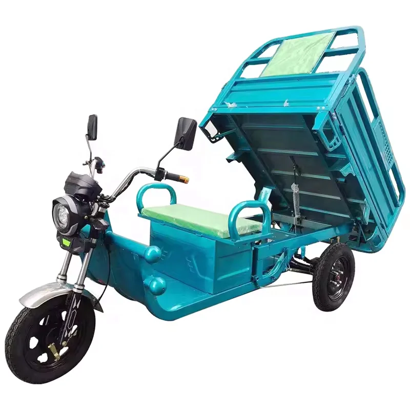 US/EU warehouse factory direct sale China hot sell cheap electric tricycle 3 wheeled Electric tricycle with cargo tricycle