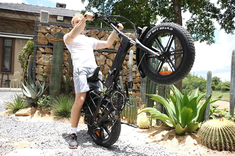 The FOB Price ENGWE ENGINE PRO 750w 48V 16Ah electric fat bike 21 speed adult bicycle step through e bike elektro bike