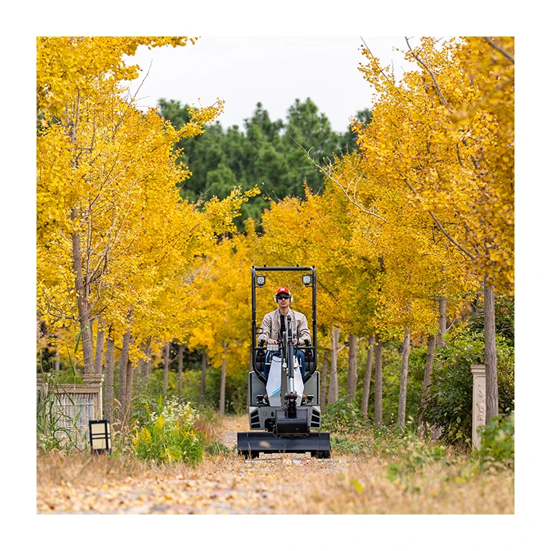 Boleo High Capacity 1.2t Mini Excavator 360 Degrees Rotation Excavator