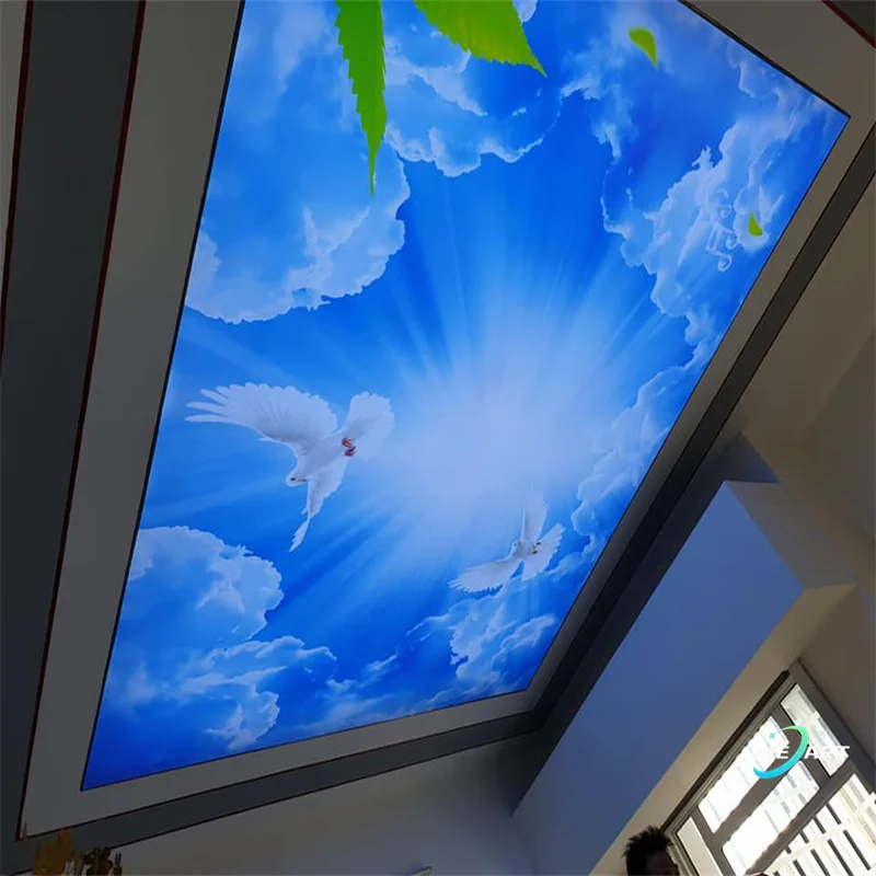 CONSTRUCTION & REAL ESTATE Top Ranked products blue sky pvc stretch ceiling panels for bathroom