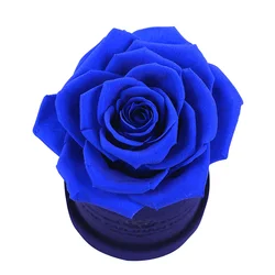 Culinan Low MOQ high quality preserved rose gift for Valentine Day