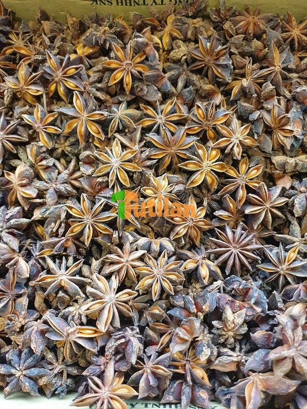 Оптовая продажа с завода самая низкая цена и лучшее качество специи приправы Вьетнам звезда анис осень