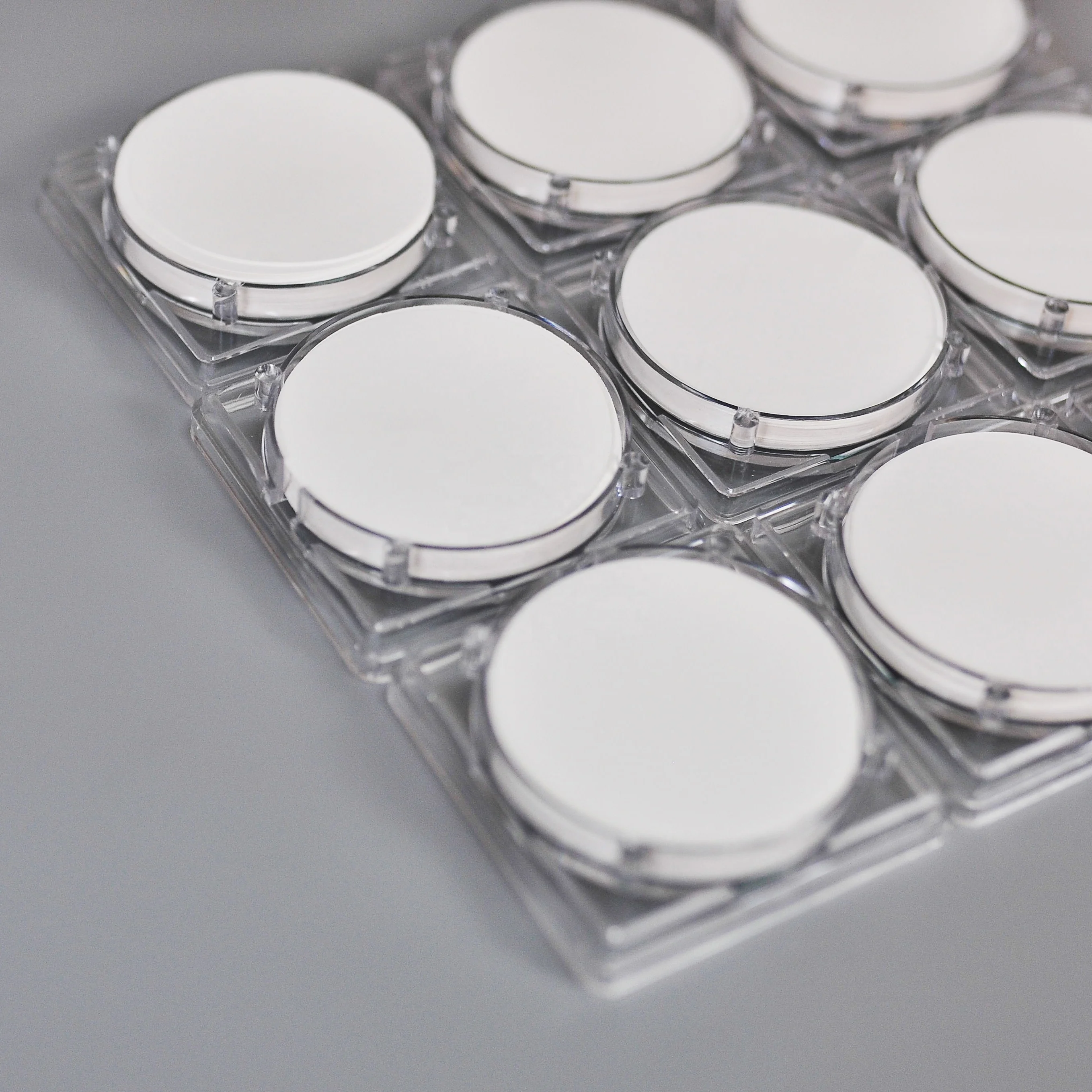 laboratory disposable filter membrane 50mm 47mm 0.45um 0.22um CA nitrate cellulose membrane filter for lab