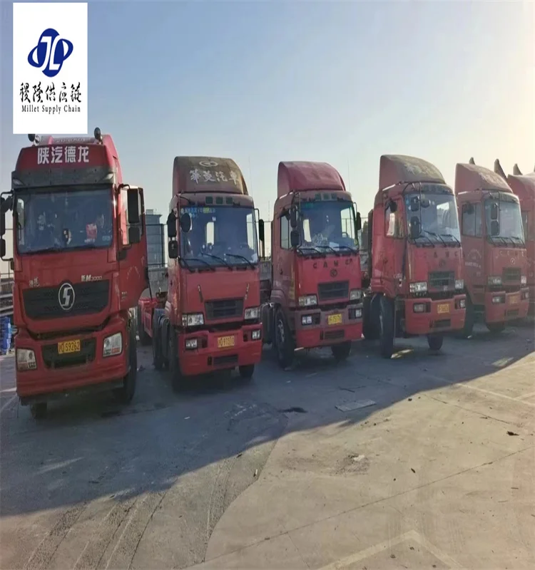 Fast Economy China Shipping Dropshipping Agent Romania Bulgaria Bahrain New zealand Singarore Spain India Air Sea Express