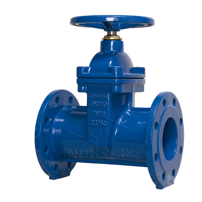 DIN3352 F5 / EN 1171 PN10/PN16 Non-Rising Stem Resilient Seated Gate Valve for Water Supply