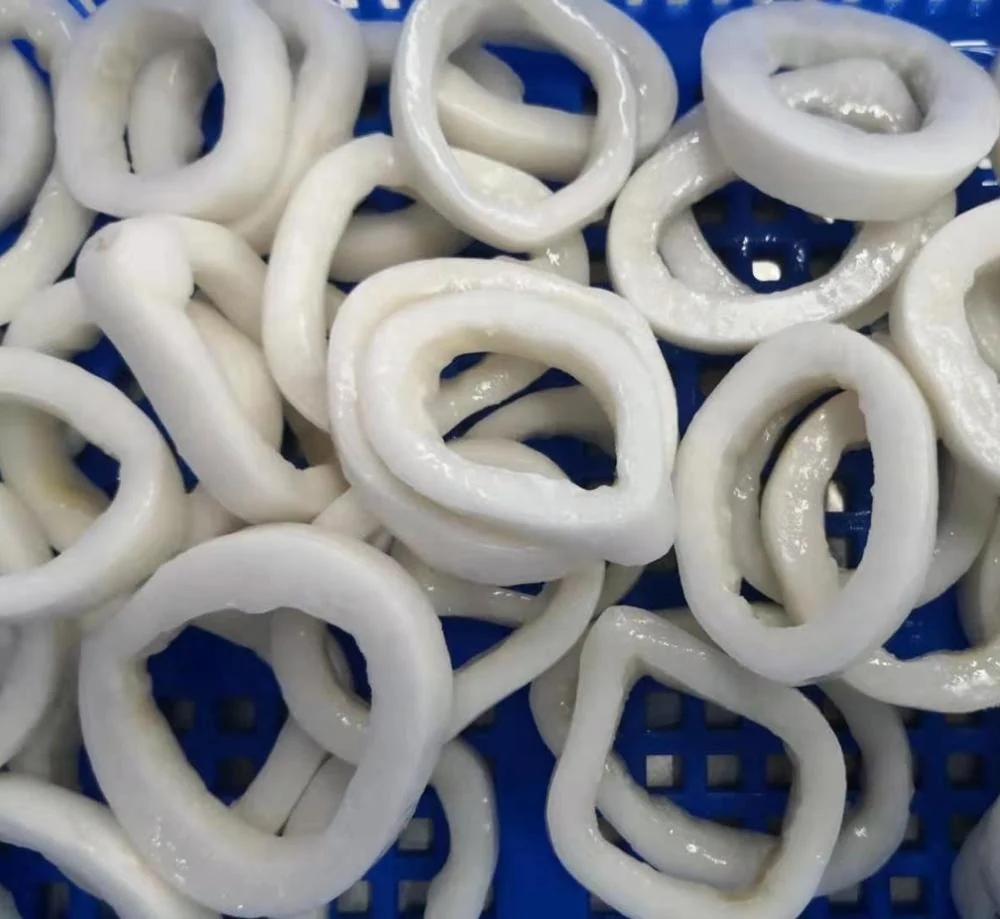 
Frozen Gigas squid ring 