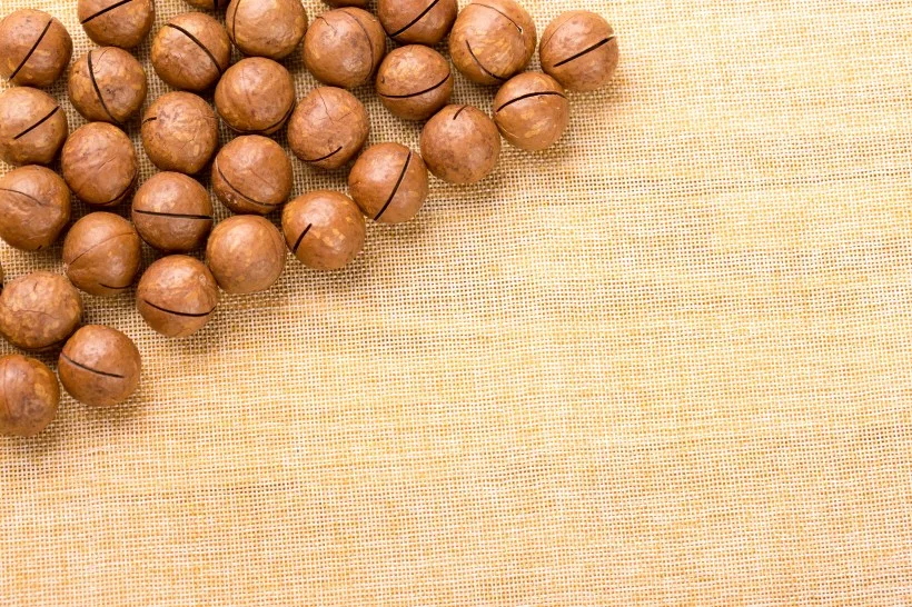 Орехи макадамии лучшего качества и вкусные без скорлупы в 2021 г.