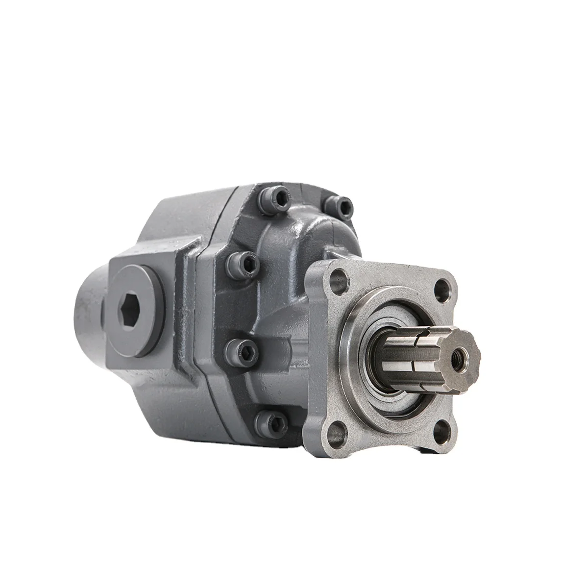 60LTR 80LTR 100LTR Double rotation needle roller bearing structure gear pump