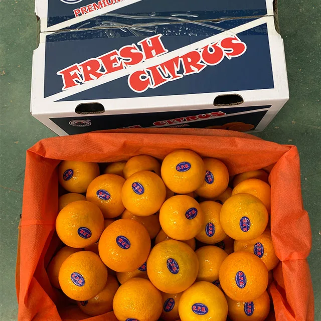 Good quality Low Price Critus Fresh Mandarin