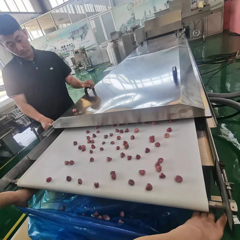 Cooling Conveyor Tunnel System Chocolate Coating Machine for Snack Foods for Food Shop Industries