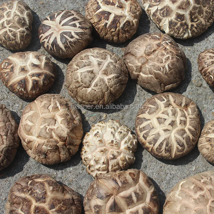 Wholesale Forest Mushroom Organic Dried Shiitake Mushroom Best Dried Shiitake Mushroom