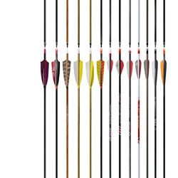 Customized Pure Carbon Fiber Arrows OEM/ODM 300-600 Spine Shafts Target Tips for Archery Outdoor Shooting