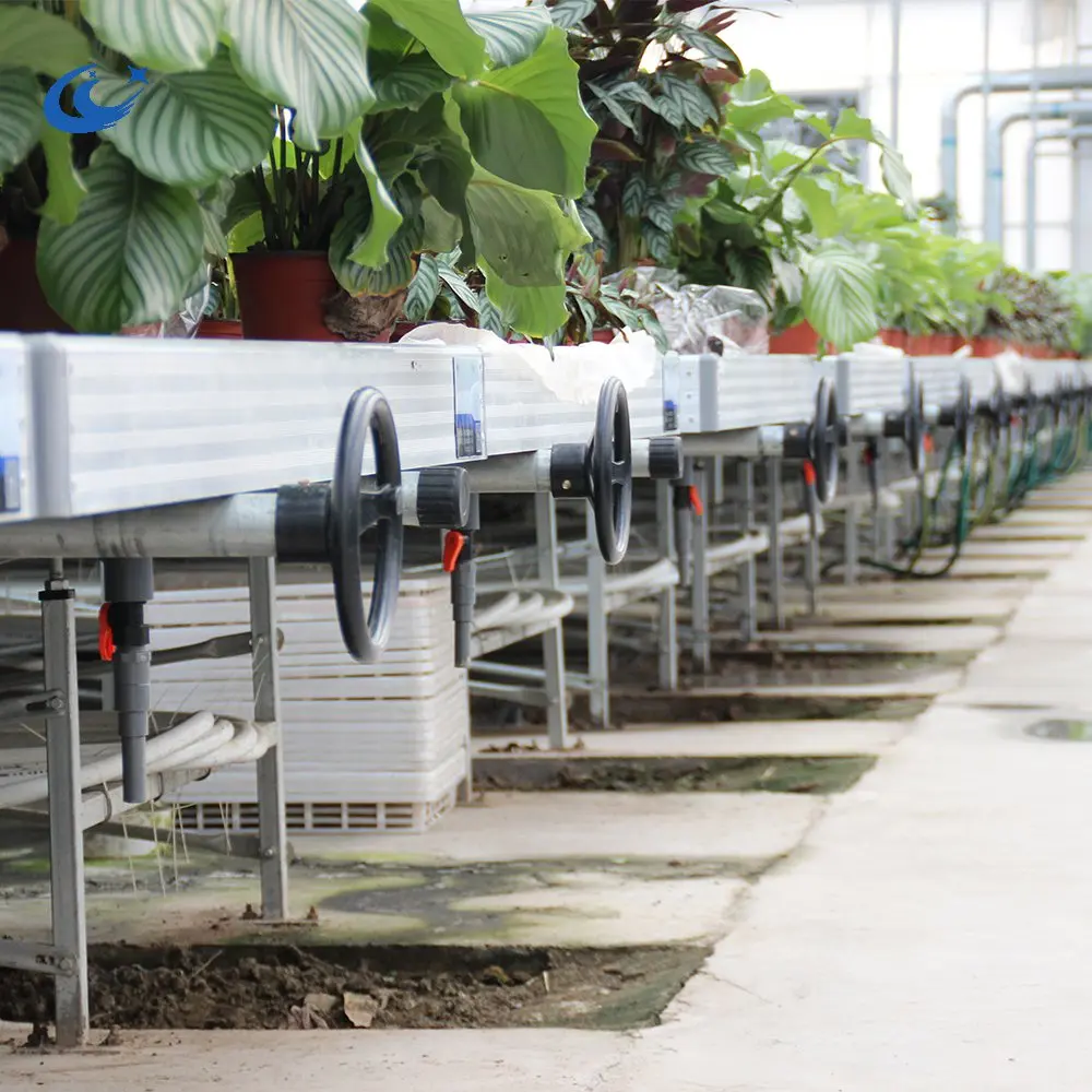 Aluminum frame with hot galvanized greenhouse Ebb and Flow rolling bench