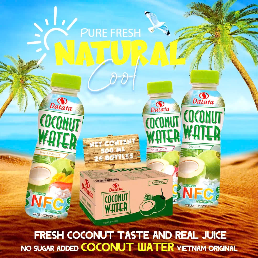 Coconut Drink Reasonable Price Coconut Water Drink Juice Concentrate Oem Service Carton Box Vietnam Product Manufacturer