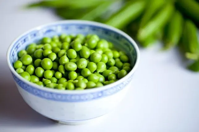 
New corp canned green peas in factory price 