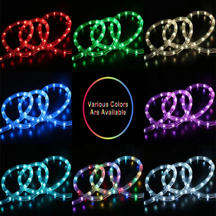 12v 24v 110v 220v rope light led