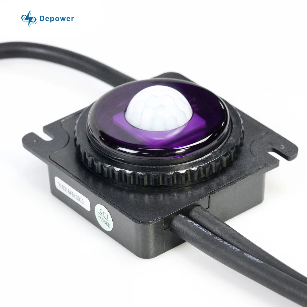 Depower P1240AI PWM Solar Charge Controller for Solar Street Light 12V for 30W LED Street Lights with Human Sensor LED Driver