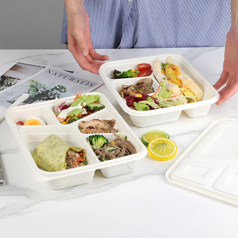 Контейнер для хранения пищевых продуктов Bento с 3 отделениями