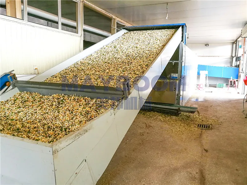 Industry hot air cardamom conveyor dryer cardamom drying machine
