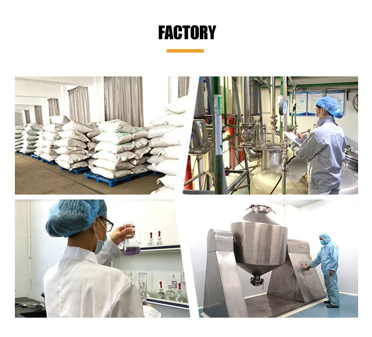 Natural Ginger Root Extract Powder Ginger Extract Ginger Powder