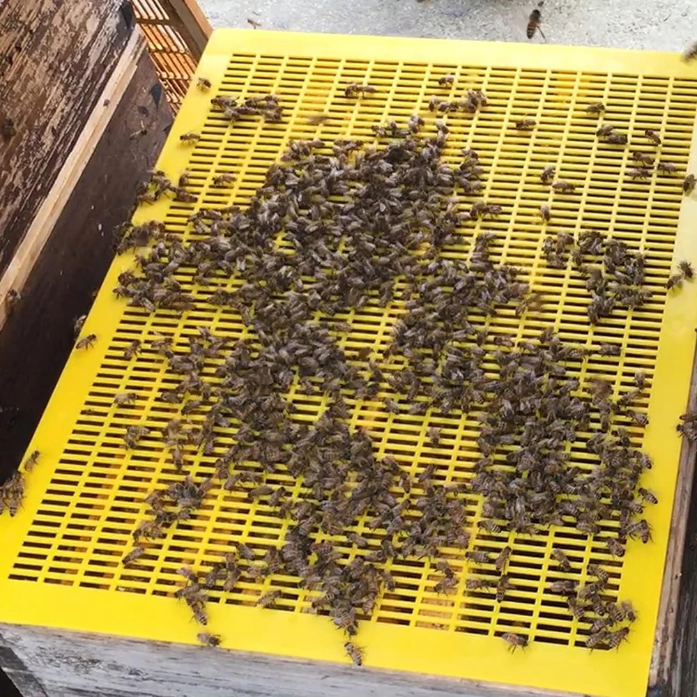 1PC Bee Queen Excluder 10 Frame Trapping Net Grid Beekeeping Equipment Gardening Beekeeper 51*42cm Queen Excluder