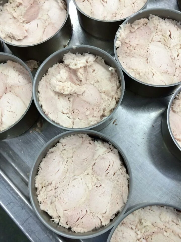 China Export Canned Tuna Fish Factory With Low Price