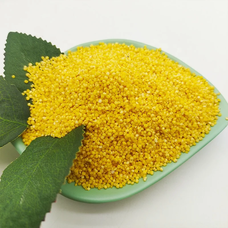China origin Low Price bulk hulled yellow pearl millet Organic Yellow Millet for porridge