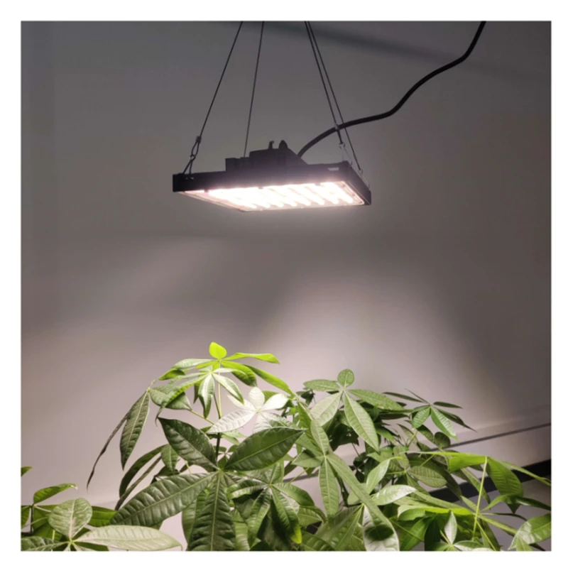 2021 Newest Design 150 480 Watt Quantum CE ROHS For Vertical Farming Horticulture