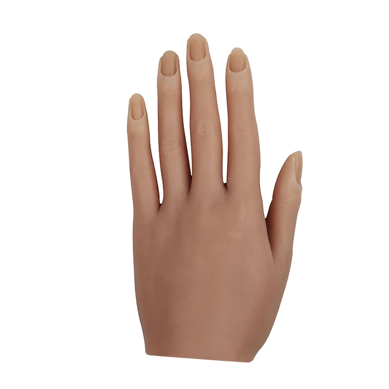 3d Model Nails Can Move And Display Hand Nail Molds Flexibly
