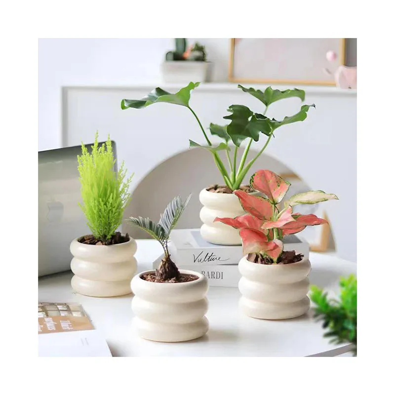 Small Size Light Luxury Premium Ceramic Planter Diversified Ceramic Vase For Interior Decoration Planter