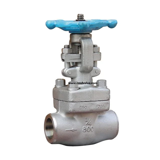API Class 800 Threaded Both Ends 1 2 3/4 inch 304 316L Gate Valve