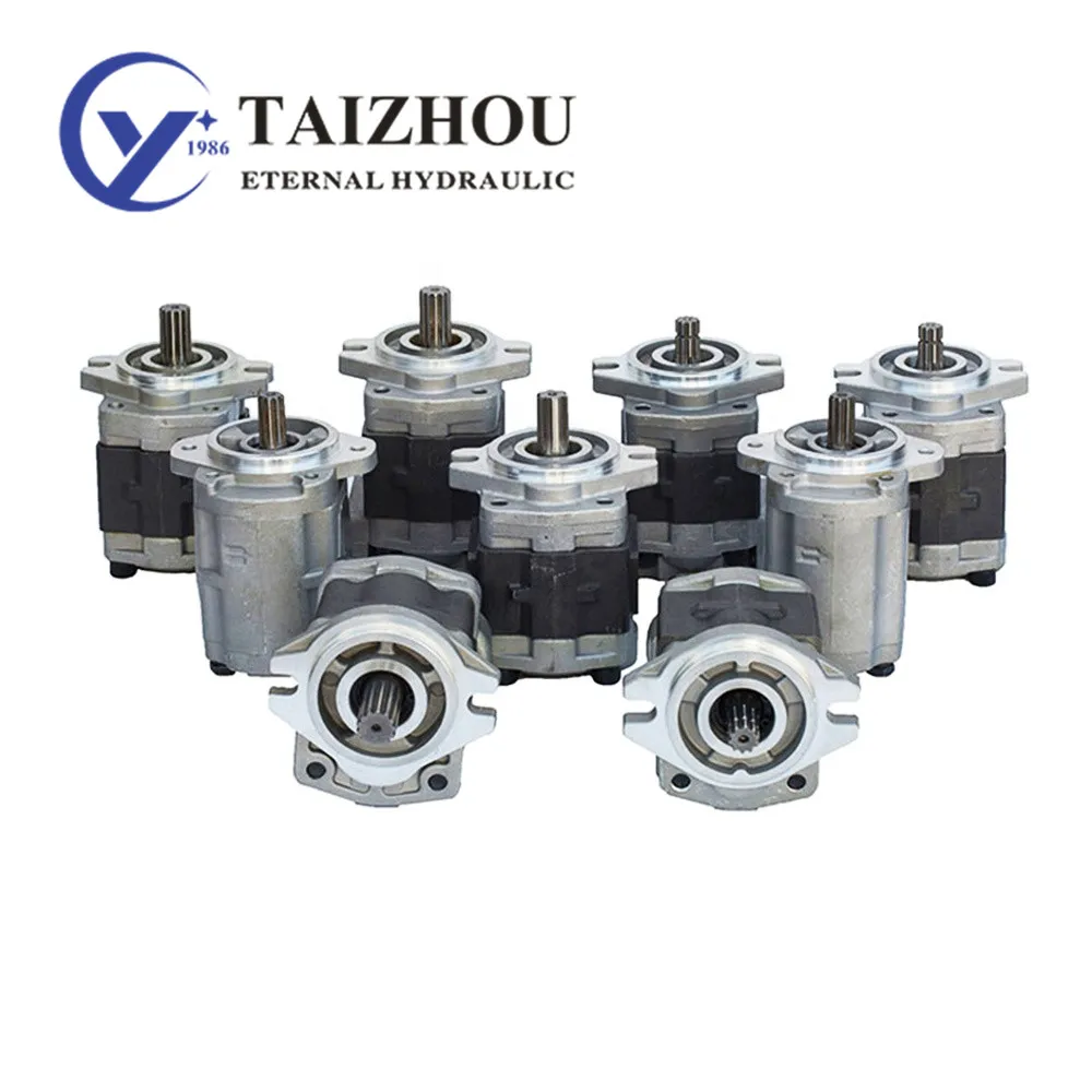 Sgp Gear Pump For Hangcha Toyota Heli Electric Forklift, Kayaba Repair Kit Spare Parts Sgp1 Sgp2 Hydraulic Fuel Gear Pumps